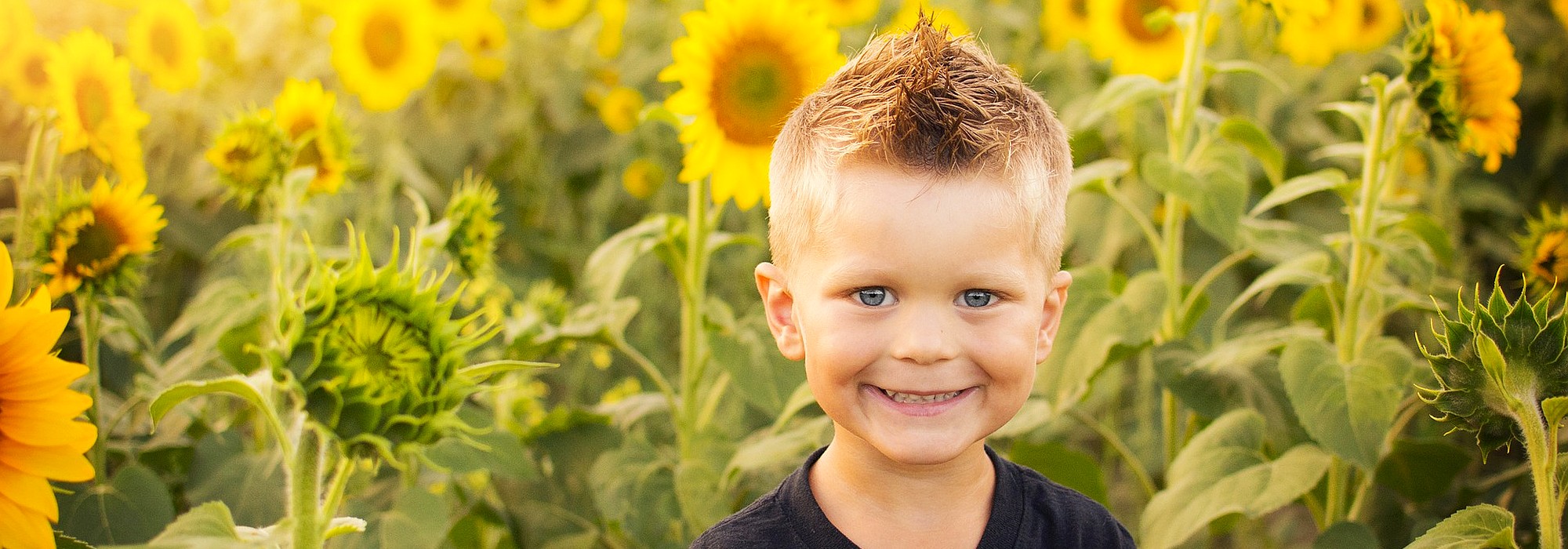 Little Sunshines At The Old Fork Elementary - Daycare and Learning Center